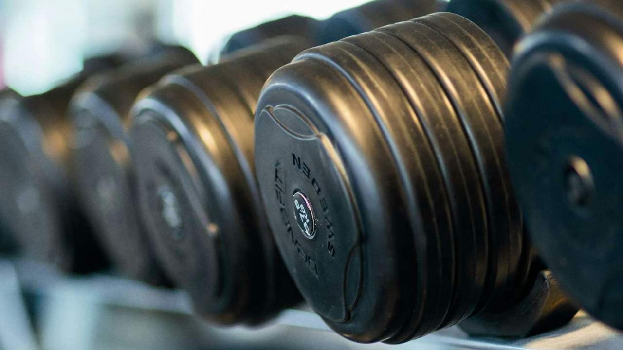 Palestra: puoi dimenticarla (pexels.com) - circuitolavoro.it