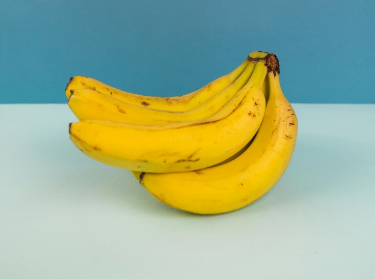 Banane ed esperimenti (pexels.com) - circuitolavoro.it
