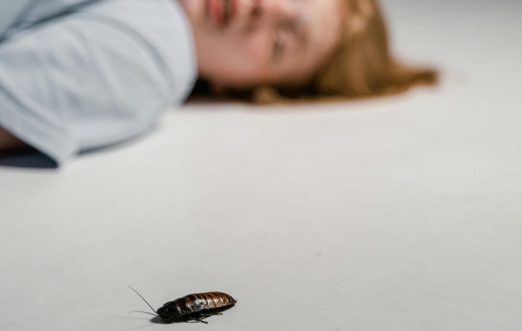 scarafaggio sul pavimento