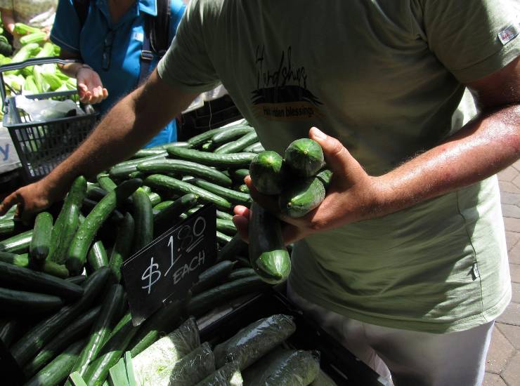 Spesa alimentare (pexels.com) - circuitolavoro.it