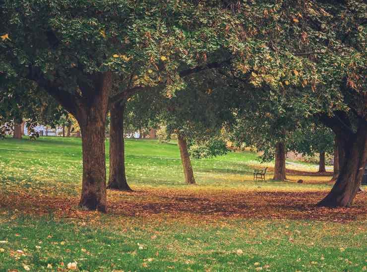 Vacanze autunnali detox (pexels.com) - circuitolavoro.it