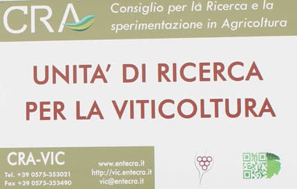 concorso-crea