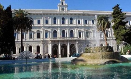 concorsi università bari