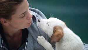 Bonus animali domestici