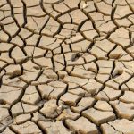 terreno desertificato