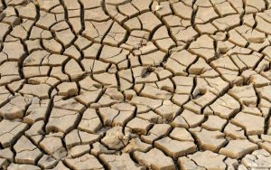 terreno desertificato