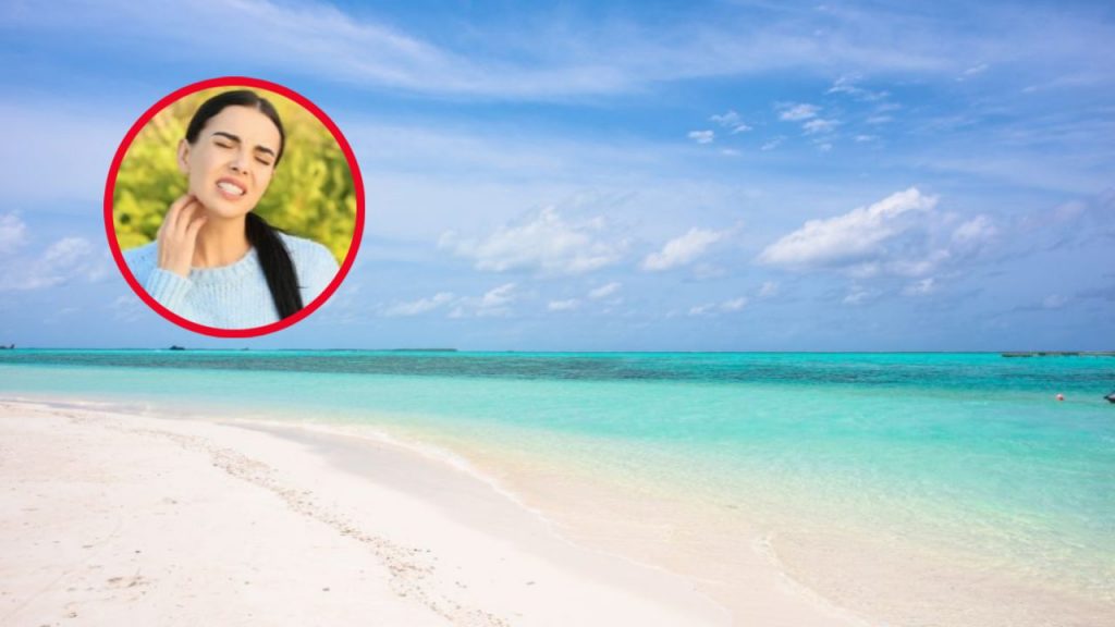 Come si prendono le pulci di mare