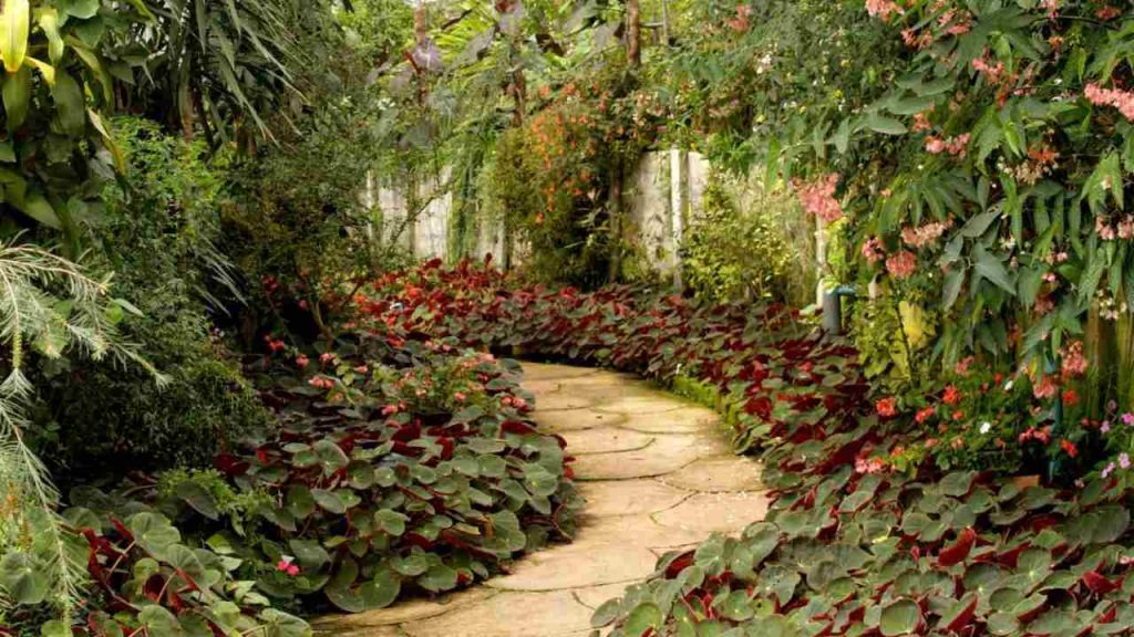 Giardino di proprietà e vicinato