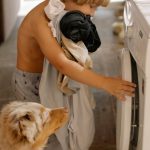 bambino e cagnolino che mettono i panni a lavare nella lavatrice
