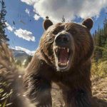 orso avvistamento - freepik - circuitolavoro.it