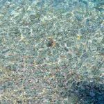 Acqua pulitissima (pexels.com) - circuitolavoro.it