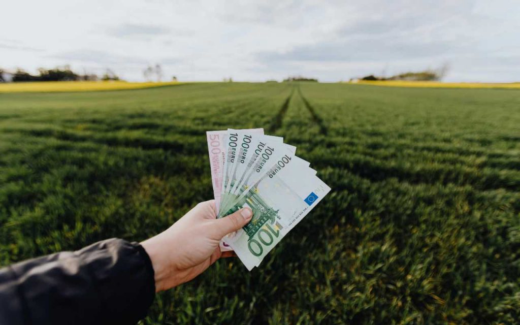 soldi banconote in mezzo a un campo