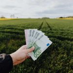 soldi banconote in mezzo a un campo