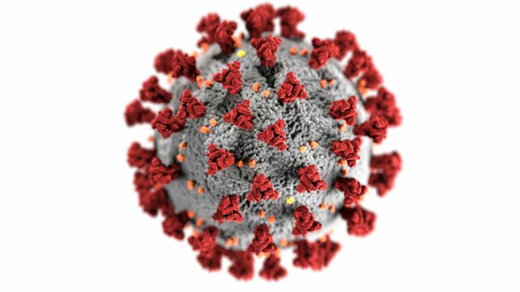 Nuovo virus