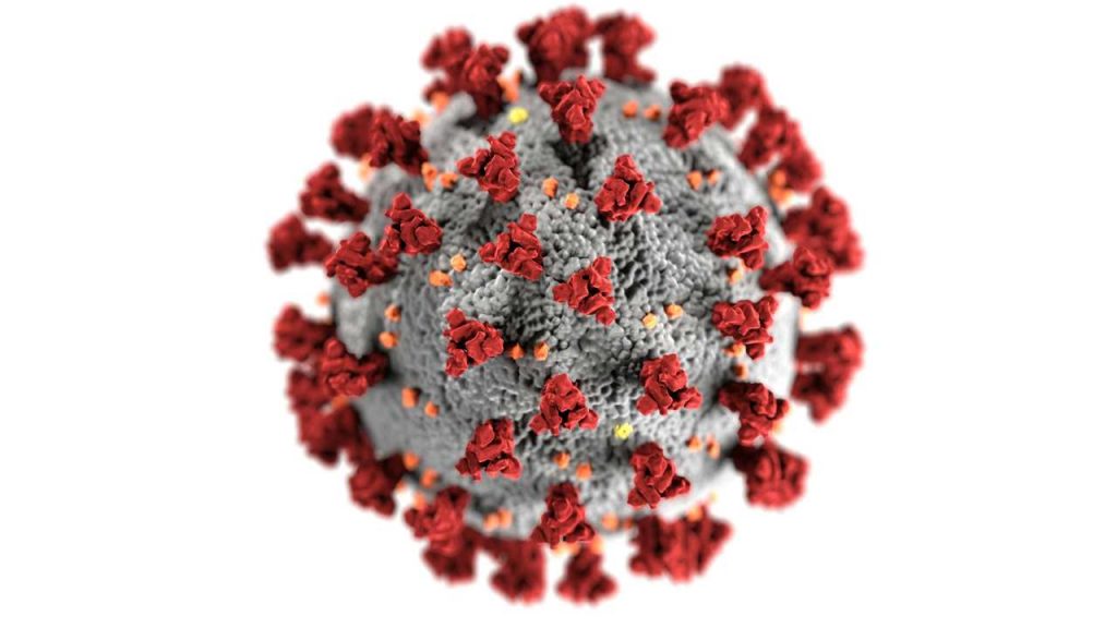 Nuova epidemia