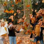 foliage in Italia - freepik - circuitolavoro.it